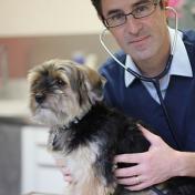 Vétérinaire Dr David Bembaron